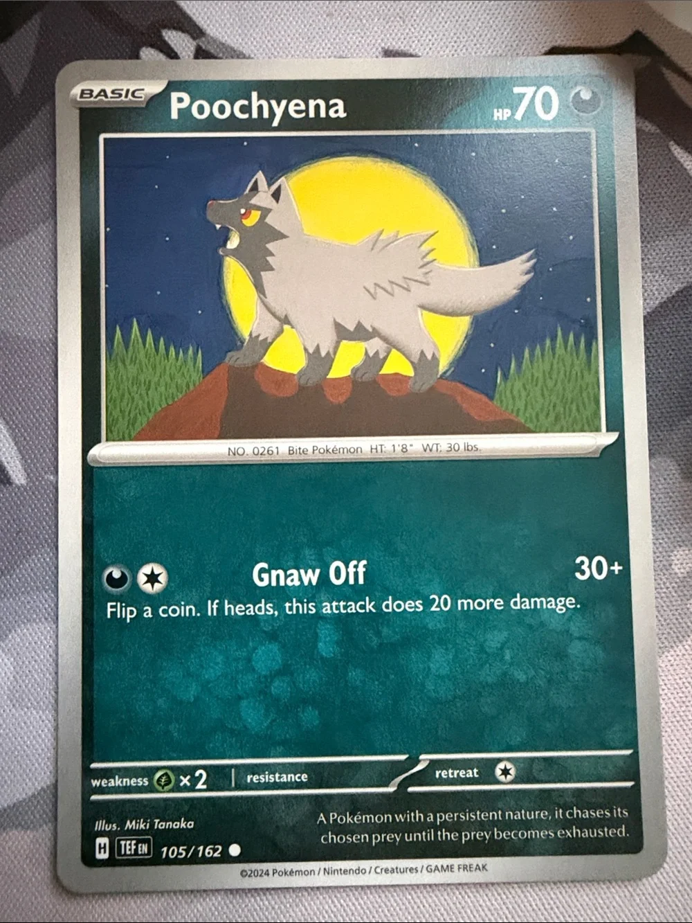 Poochyena & Mightyena Evolution Collection Lot | 5 Pokémon Cards | ✨5/$25✨